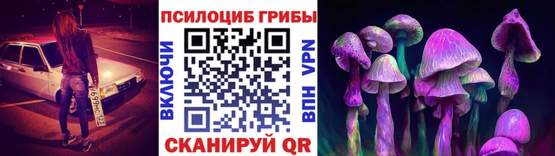 Купить закладки  Холм  Галлюциногенные грибы ЛСД 